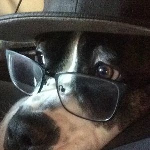 Meet your Posher, Aimee